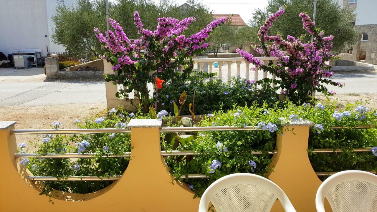 Marina Apartman Biograd na Moru Kültér fotó